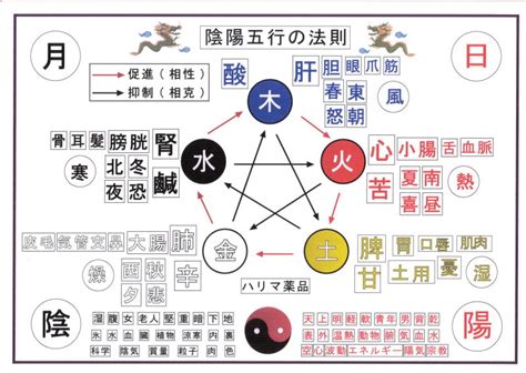 五行目|五行思想